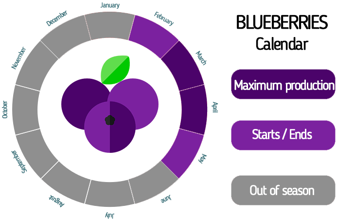 Organic blueberries