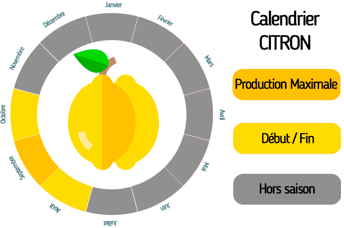 Citron vert bio