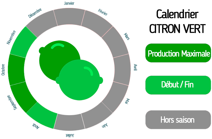 Citron vert bio
