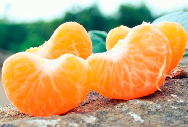 Sabor