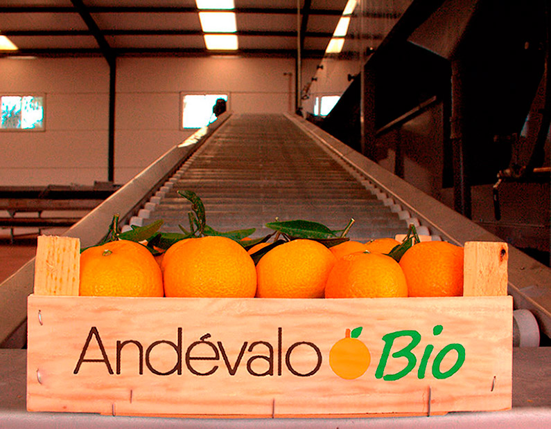 Caja de madera