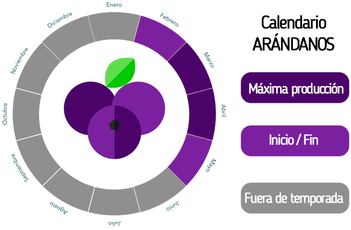 Arándanos ecológicos
